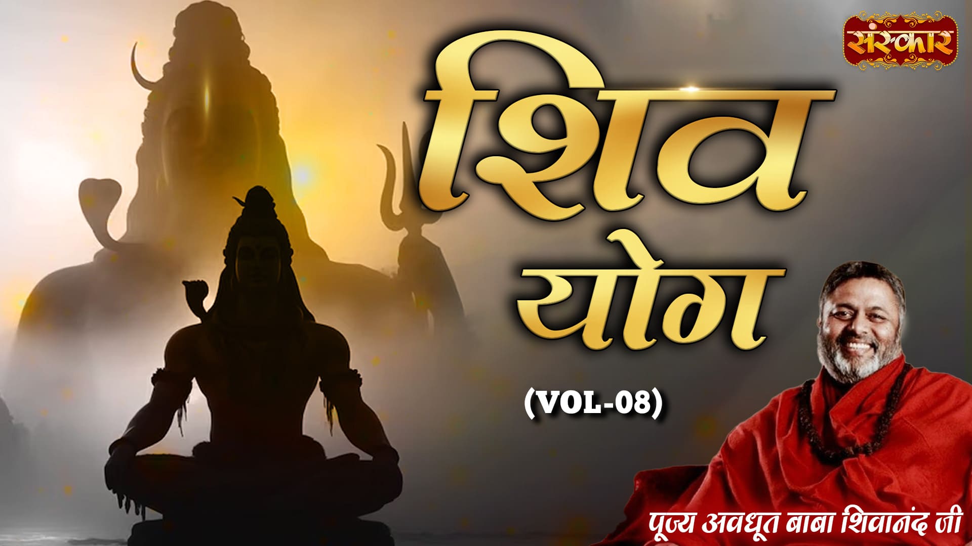 Shiv Yog by Pujya Avdhoot Baba Shivanand Ji, Vol 8